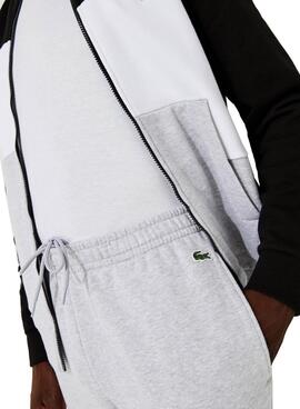 Trainingsanzug Lacoste Farbe Block Grau Für Herren