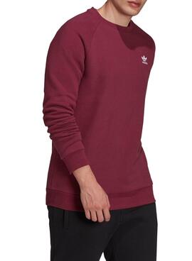 Sweatshirt Adidas Adicolor Essential Kleeblatt Granatrot Herren
