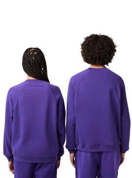 Sweatshirt Lacoste Club Morado für Herren Damen