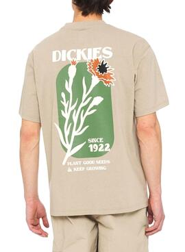 T-Shirt Dickies Herndon Beige für Herren