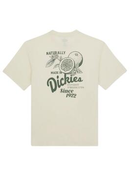 T-Shirt Dickies Raven Beige für Männer