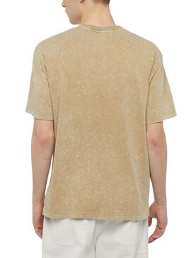 T-shirt Dickies Newington Tee Beige für Herren