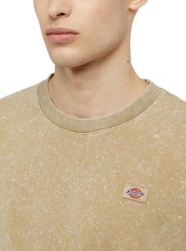 T-shirt Dickies Newington Tee Beige für Herren