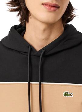 Sweatshirt Lacoste Band schwarz und beige für Herren