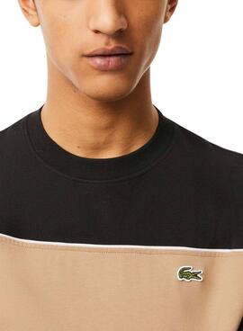 T-shirt Lacoste Band schwarz und beige für Männer