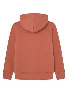 Kapuzenpullover Pepe Jeans Lamonty braun kinder