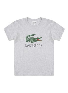 T-Shirt Lacoste Croc Grau Für Junge