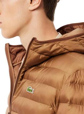 Gepolsterte Camel-Lacoste-Jacke für herren