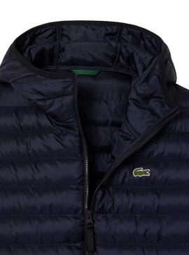 Lacoste Jacke. Gepolstertes in Marineblau für herren