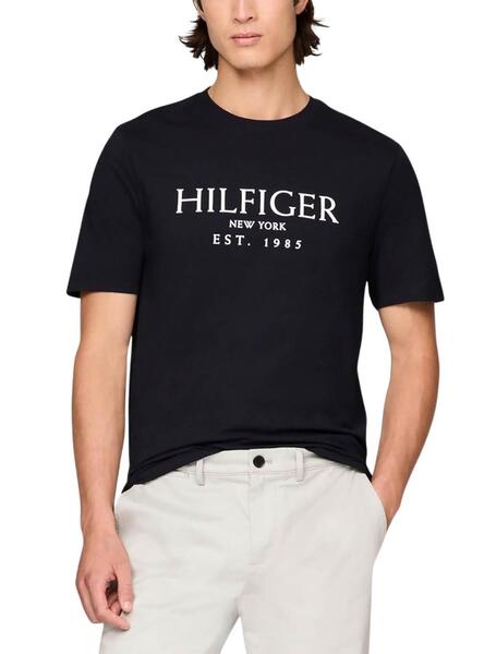 Big logo tommy hilfiger t shirt online