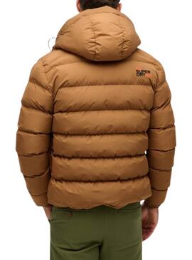 Steppjacke mit Kapuze Superdry Braun für männer