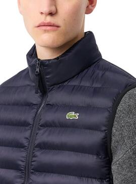 Weste Lacoste Stepp navy für Männer