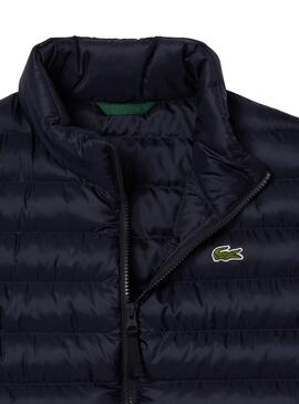 Weste Lacoste Stepp navy für Männer