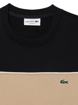 Sweatshirt von Lacoste mit schwarzen Farbblöcken für Herren.