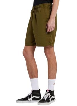 Bermudas Dickies Pelican in Grün für Männer