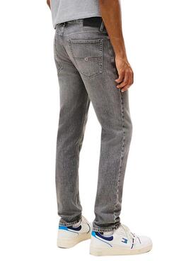 Jeans Hose Tommy Jeans Scanton grau für Herren.