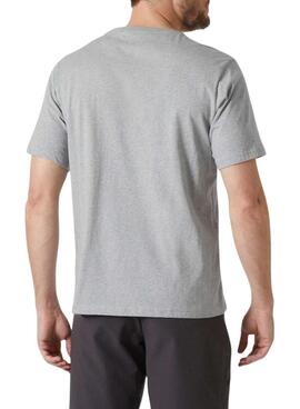 T-Shirt Helly Hansen Logo grau für Herren.