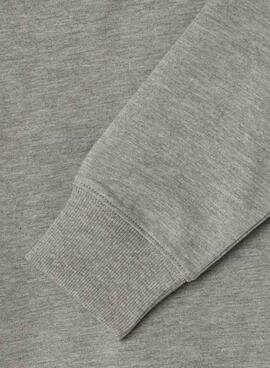 Kapuzenpullover Pepe Jeans Art mit grauer Kapuze für Jungen.