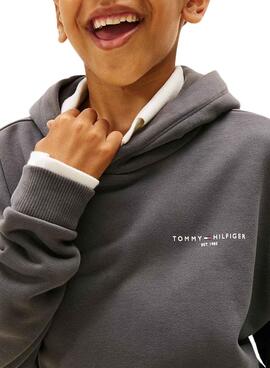 Kapuzenpullover Tommy Hilfiger Mini Corp grau für Kinder