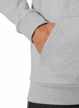 Sweatshirt Helly Hansen Core Graphic Grau für Herren