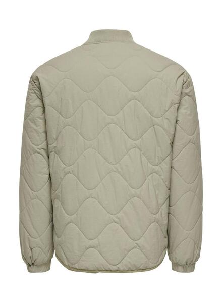 Gallery m175781 opinrna6