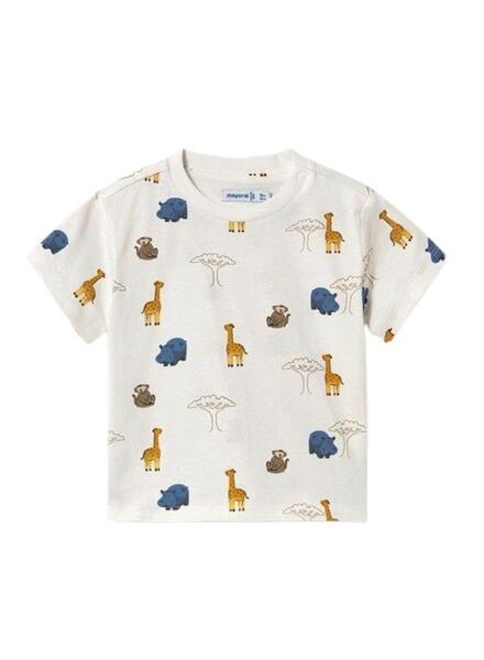 Gallery k178153 nsh2rvbz