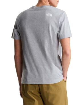T-Shirt The North Face Evo grau für Herren