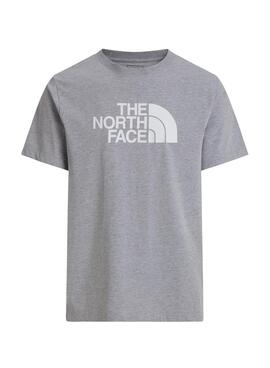 T-Shirt The North Face Evo grau für Herren