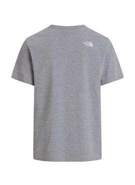T-Shirt The North Face Evo grau für Herren