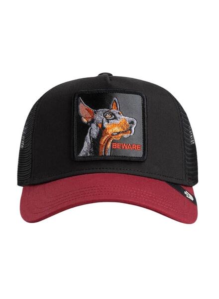 Gallery m179904 zbgvfpqa