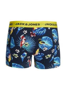 Pack Boxers Jack und Jones Flower Bird für Herren