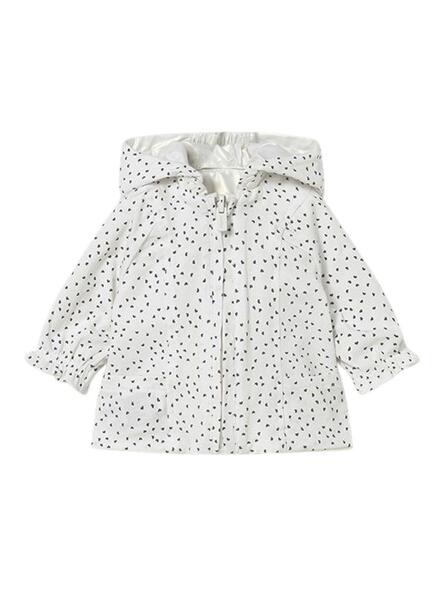 Gallery k179191 vt9j4dfl