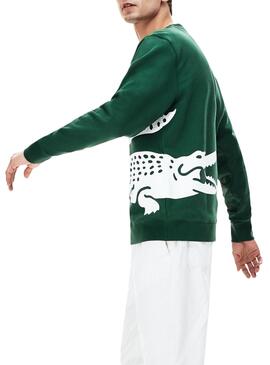 Sweatshirt Lacoste Maxi Logo Grün für Herren