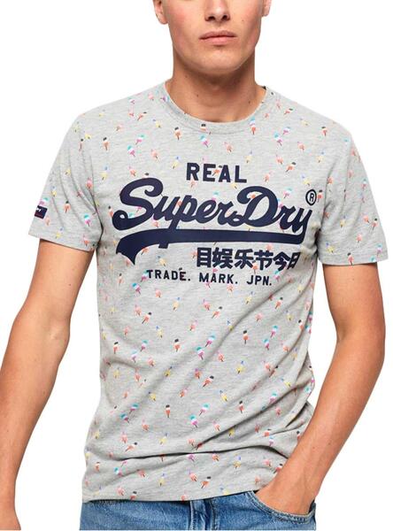 T-Shirt Superdry für Grau Vintage Herren Logo