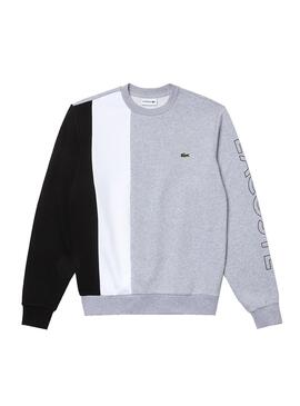 Lacoste block hot sale crew sweatshirt