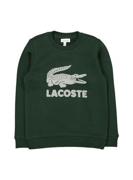 Sweatshirt Lacoste Croco Grün für Junge