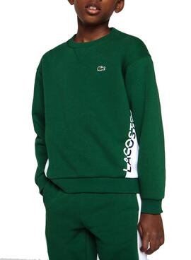 Sweatshirt Lacoste Bicolor Grün für Junge